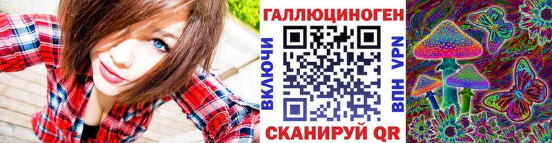 Галлюциногенные грибы Psilocybe  kraken зеркало  Серафимович 